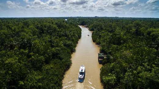 Formesse & ClimatePartner Waldschutz in Brasilien 